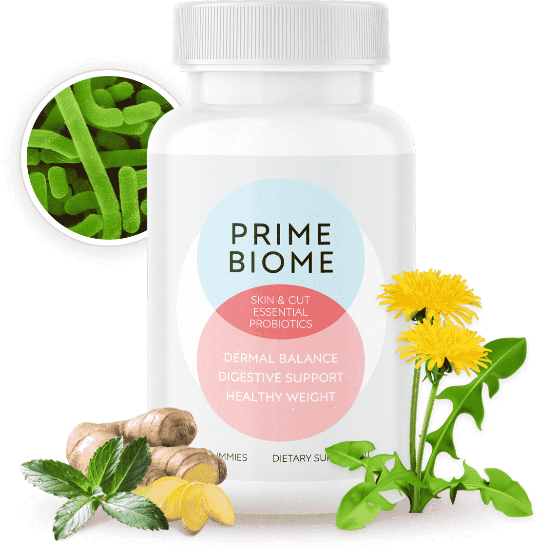 PrimeBiome Supplement